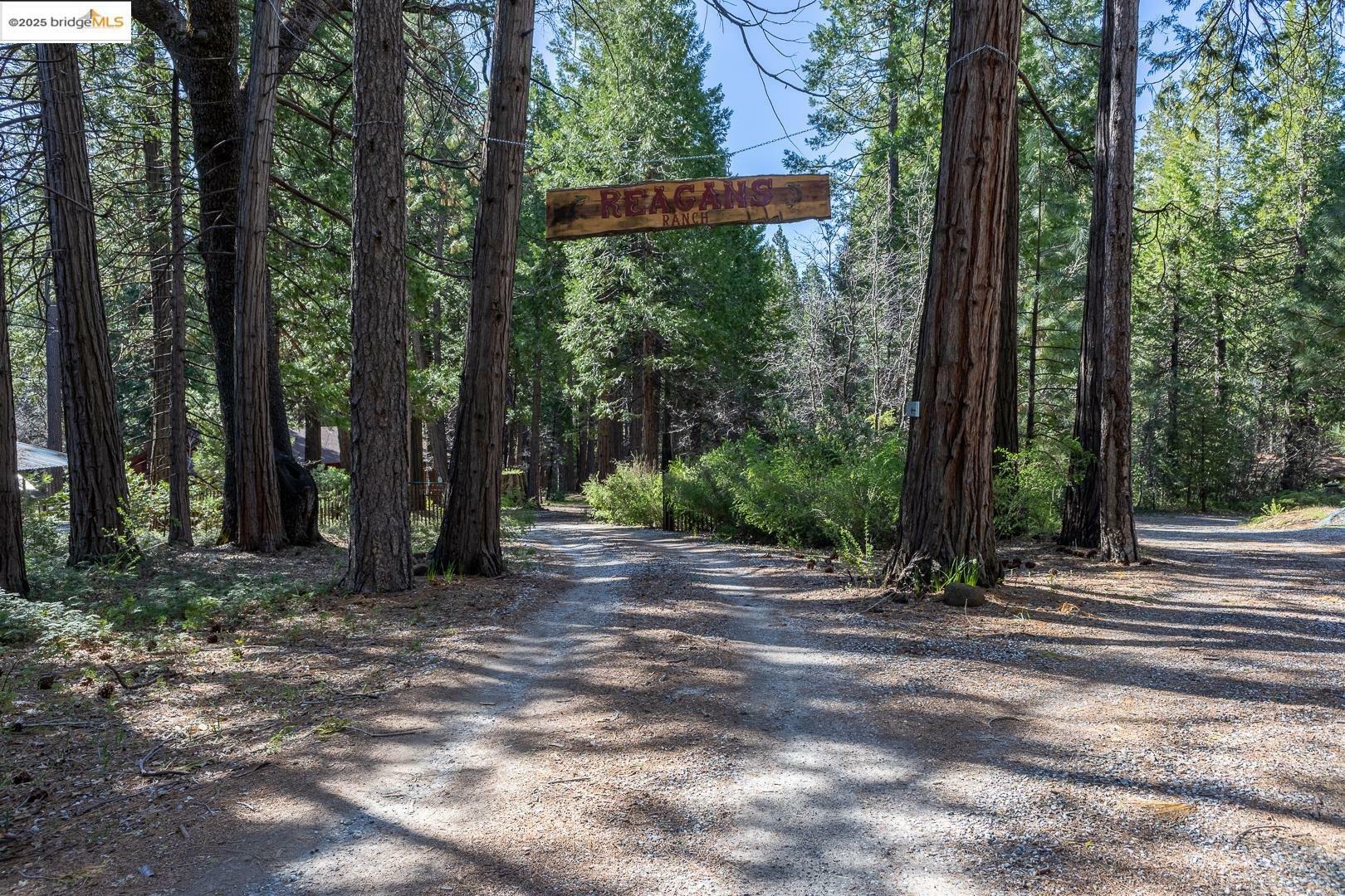 Property Photo: 19979 Mountain Misery Rd CA 95383