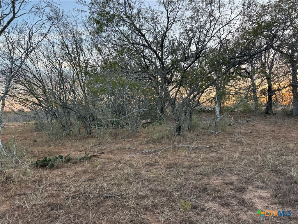 Property Photo:  Tbd Fm-1681  TX 78160 