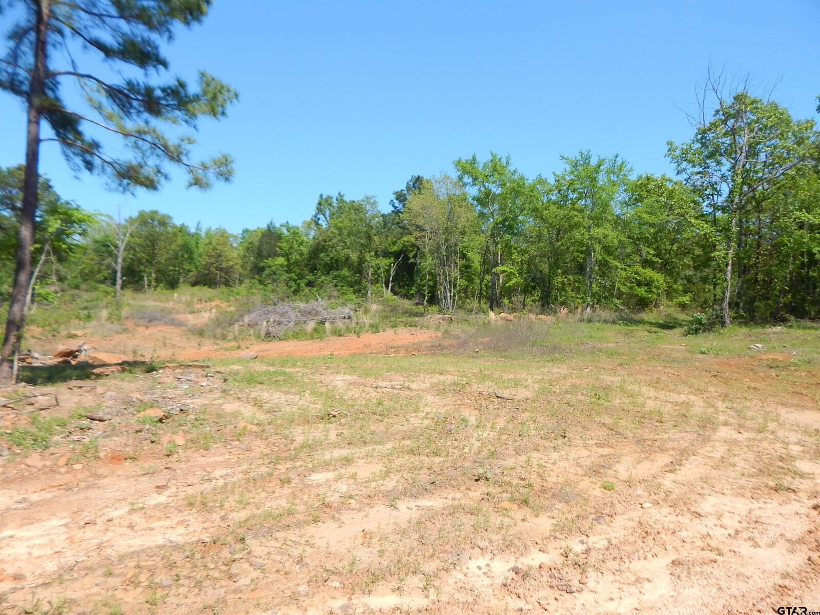 Property Photo: Tbd 15 Acres Fm 1795 Side 2 TX 75755
