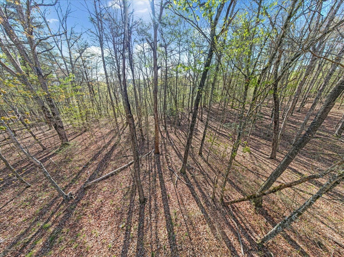 Property Photo: 1 Seagroves Rd TN 37387