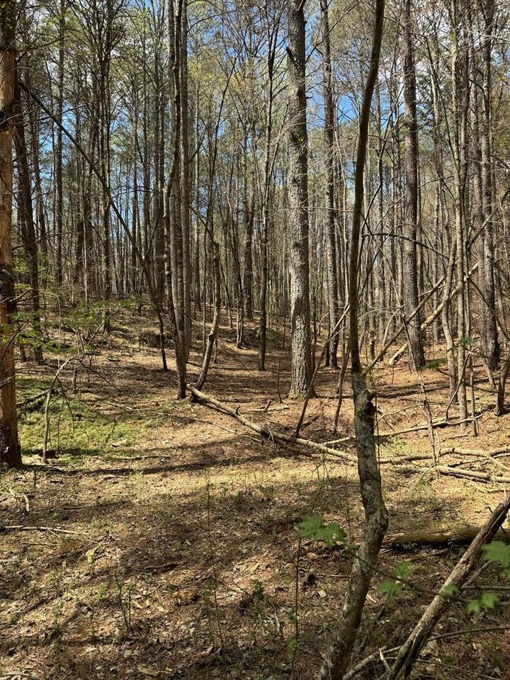 0 Crossroads Church Road  Ellijay GA 30540 photo