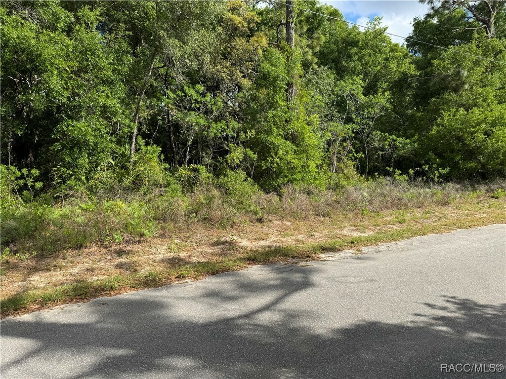 Property Photo: 6623 W Gannet Place FL 34429