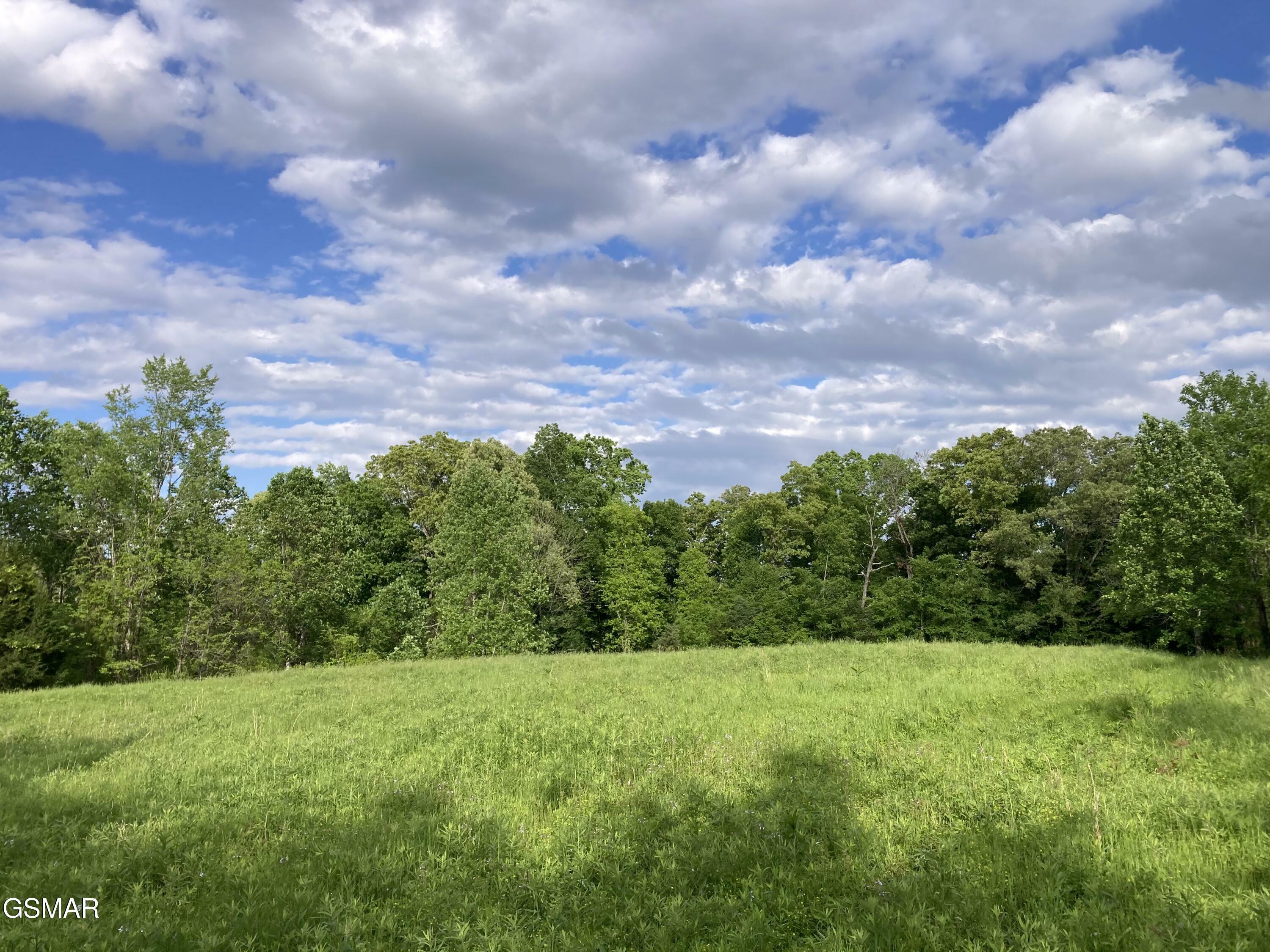 Property Photo: 24.265 S Mohawk Rd TN 37809