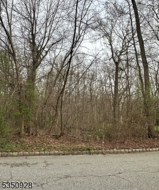 Property Photo: 54 Big Piece Rd NJ 07004