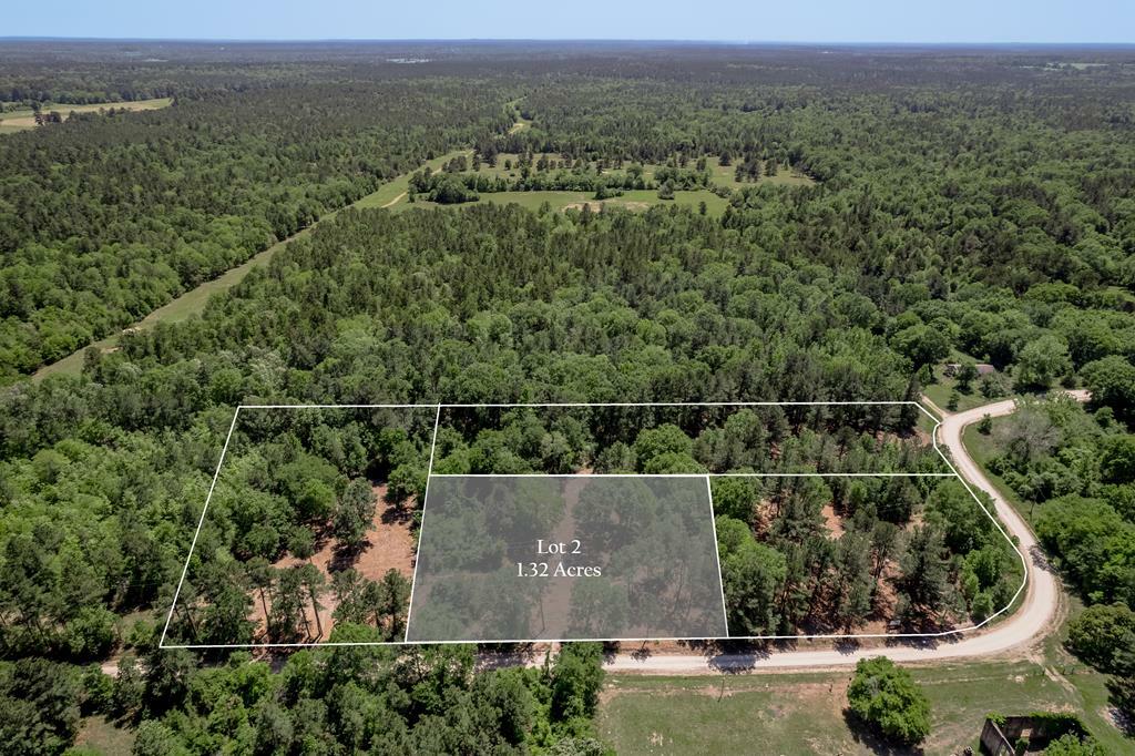6077 Tract 2 Cr 4200  Pennington TX 75856 photo