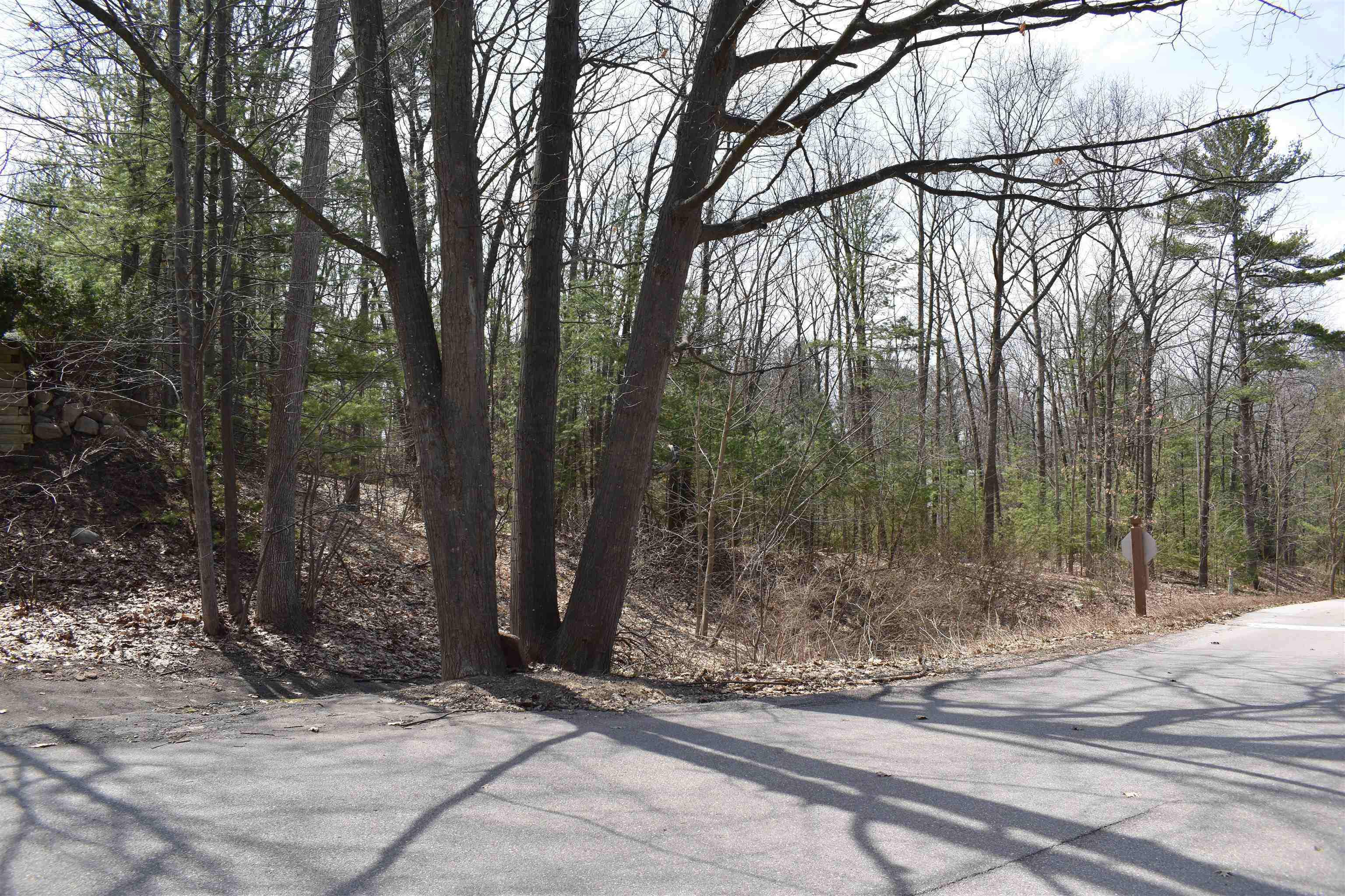 Property Photo:  377 Peninsula Knolls Lane  MI 49686 