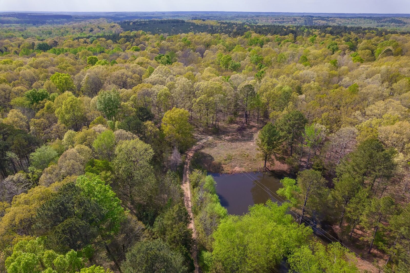 Property Photo: 2865 Deanburg Rd TN 38356