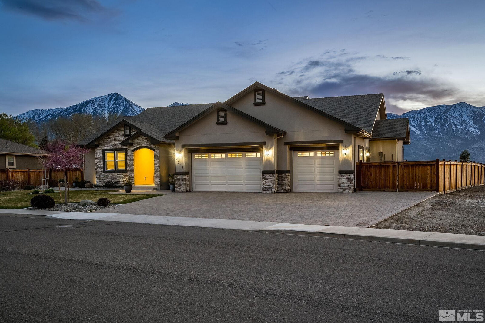 Property Photo:  1008 Rocky Terrace Drive  NV 89410 