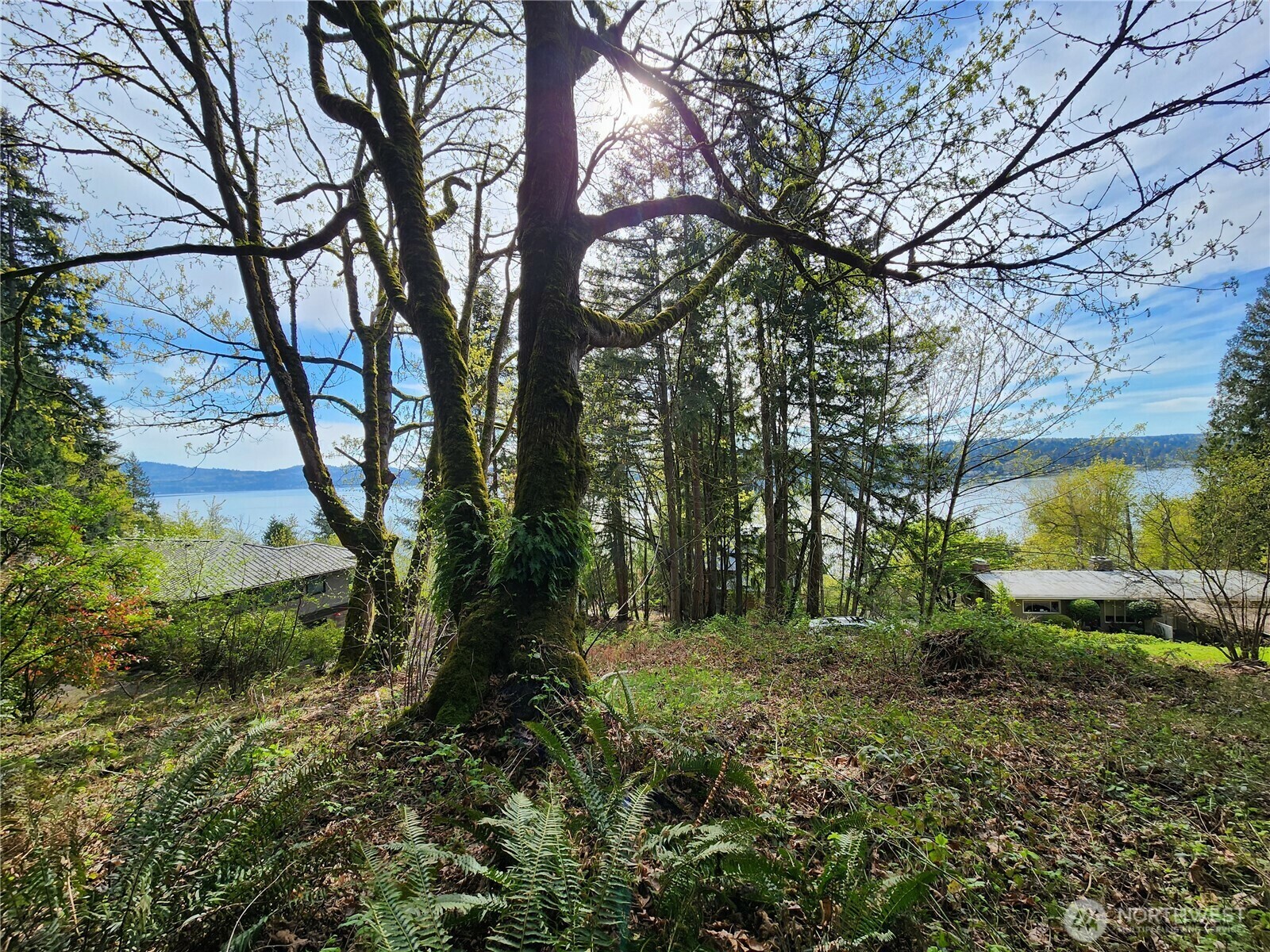 Property Photo: 0 E Lake Sammamish Parkway NE WA 98074