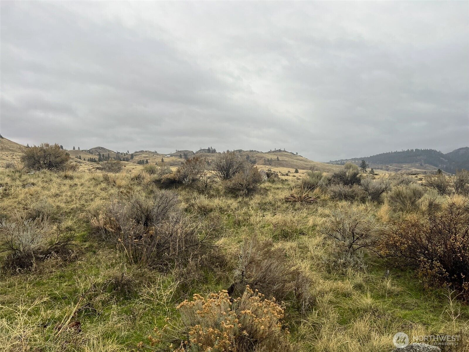 Property Photo: 0 Lot 16 Pine Bluff Road WA 98844