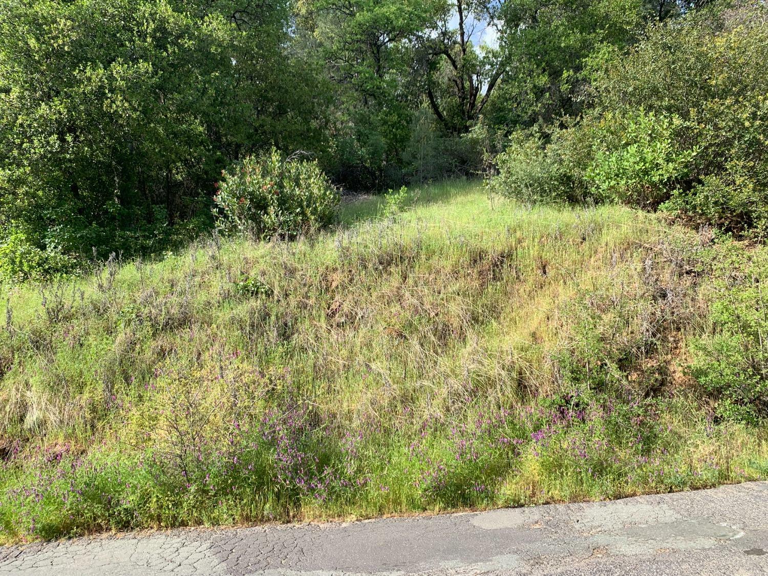 Property Photo: 2193 Skunk Ranch Road CA 95247