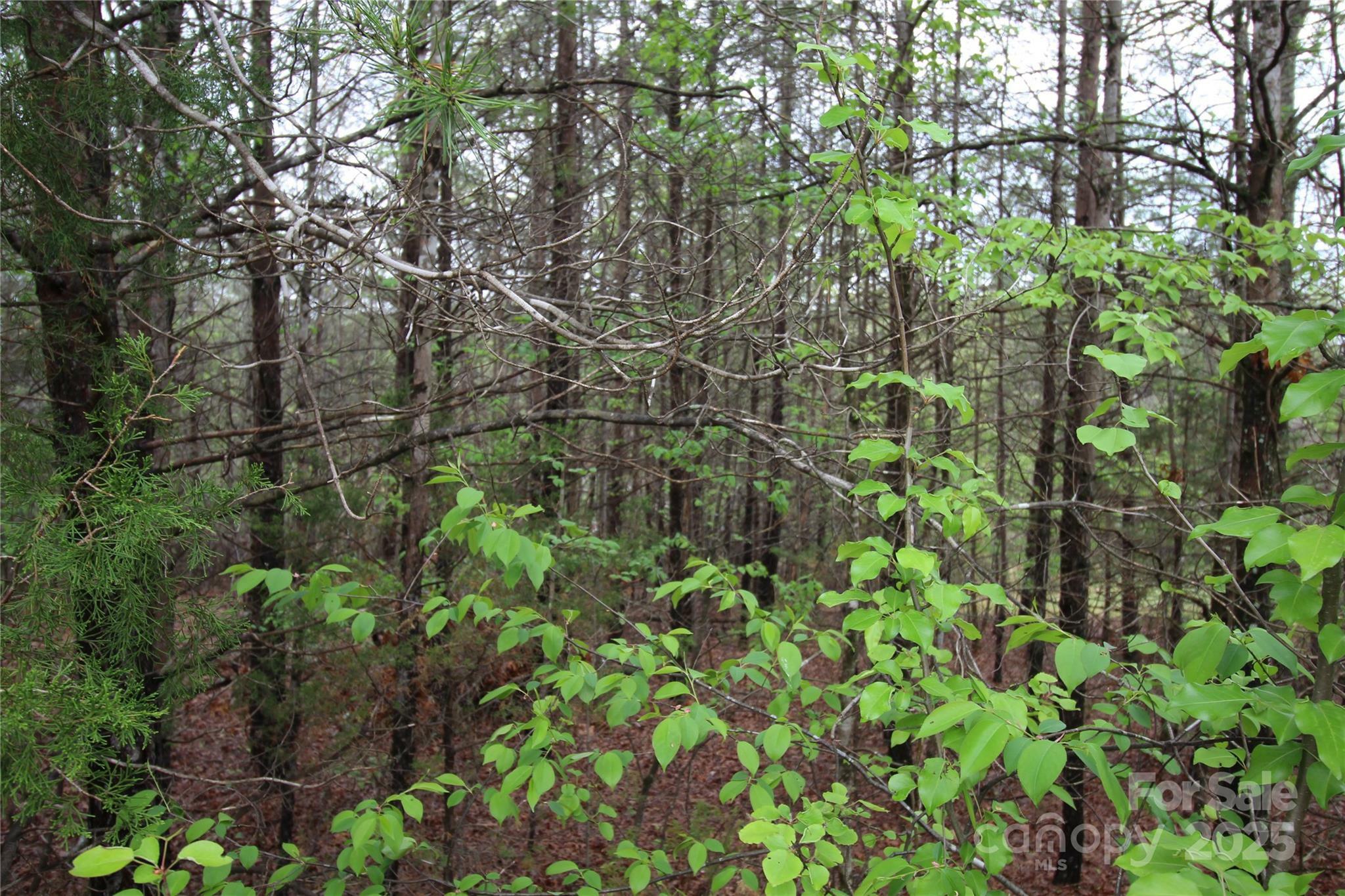 Property Photo: Lot #10 Ridge Way Lot 10 NC 28752