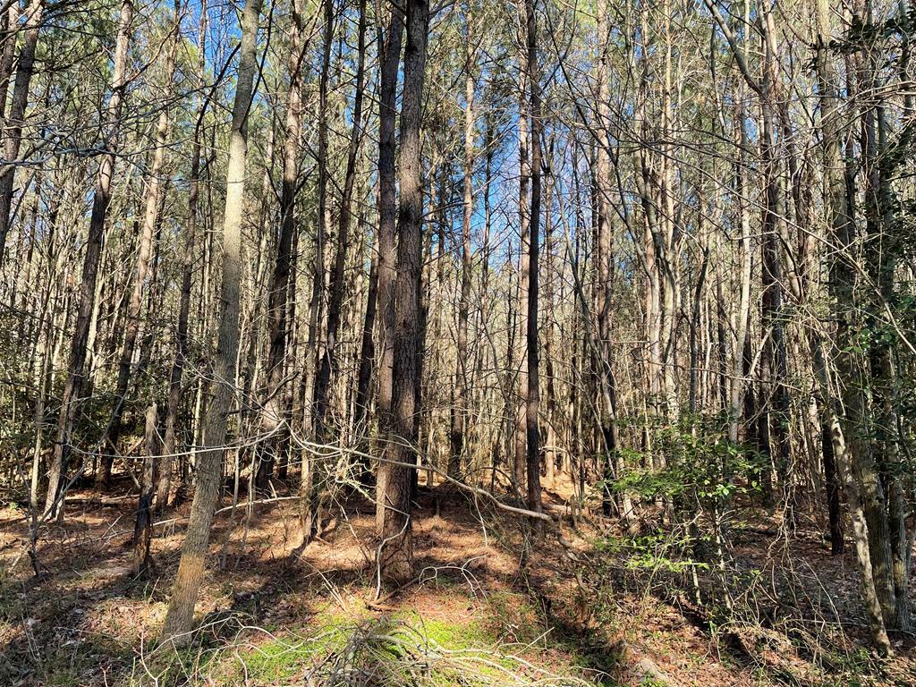 Property Photo: 62 Signal Ct VA 23