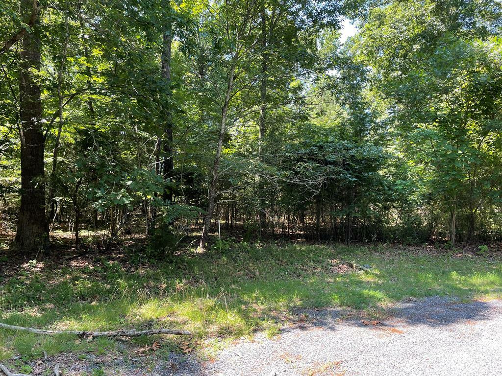 Property Photo: 62 Signal Ct VA 23