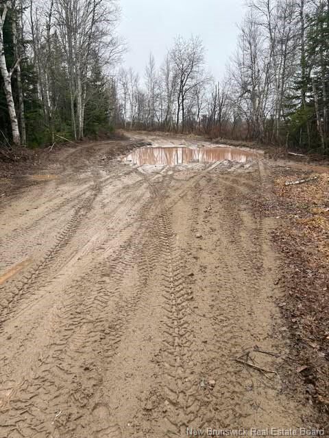 Property Photo:  N/A Ch Pellerin Road  NB E4T 2G2 