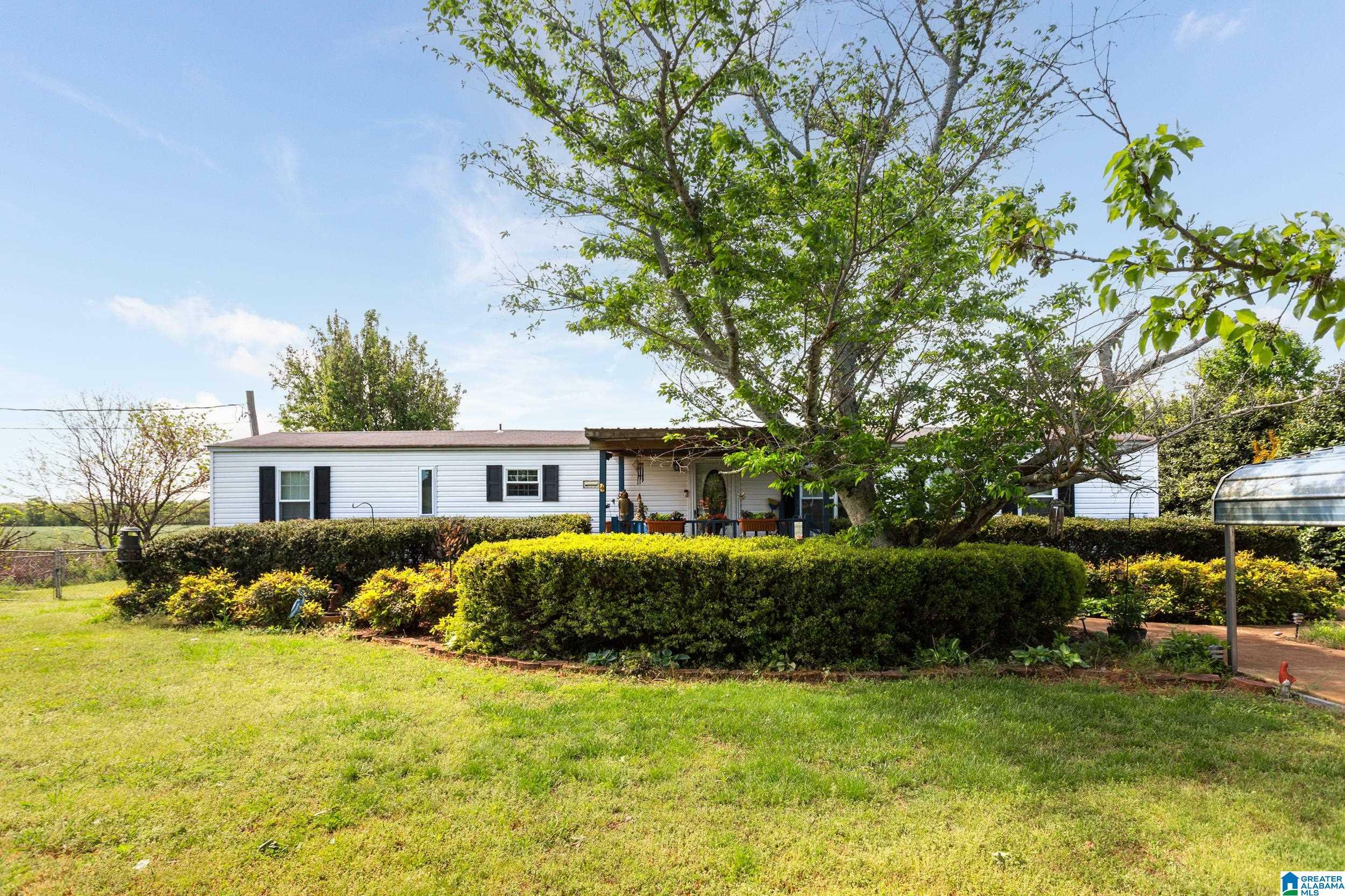230 Tiffany Lane  Ohatchee AL 36271 photo