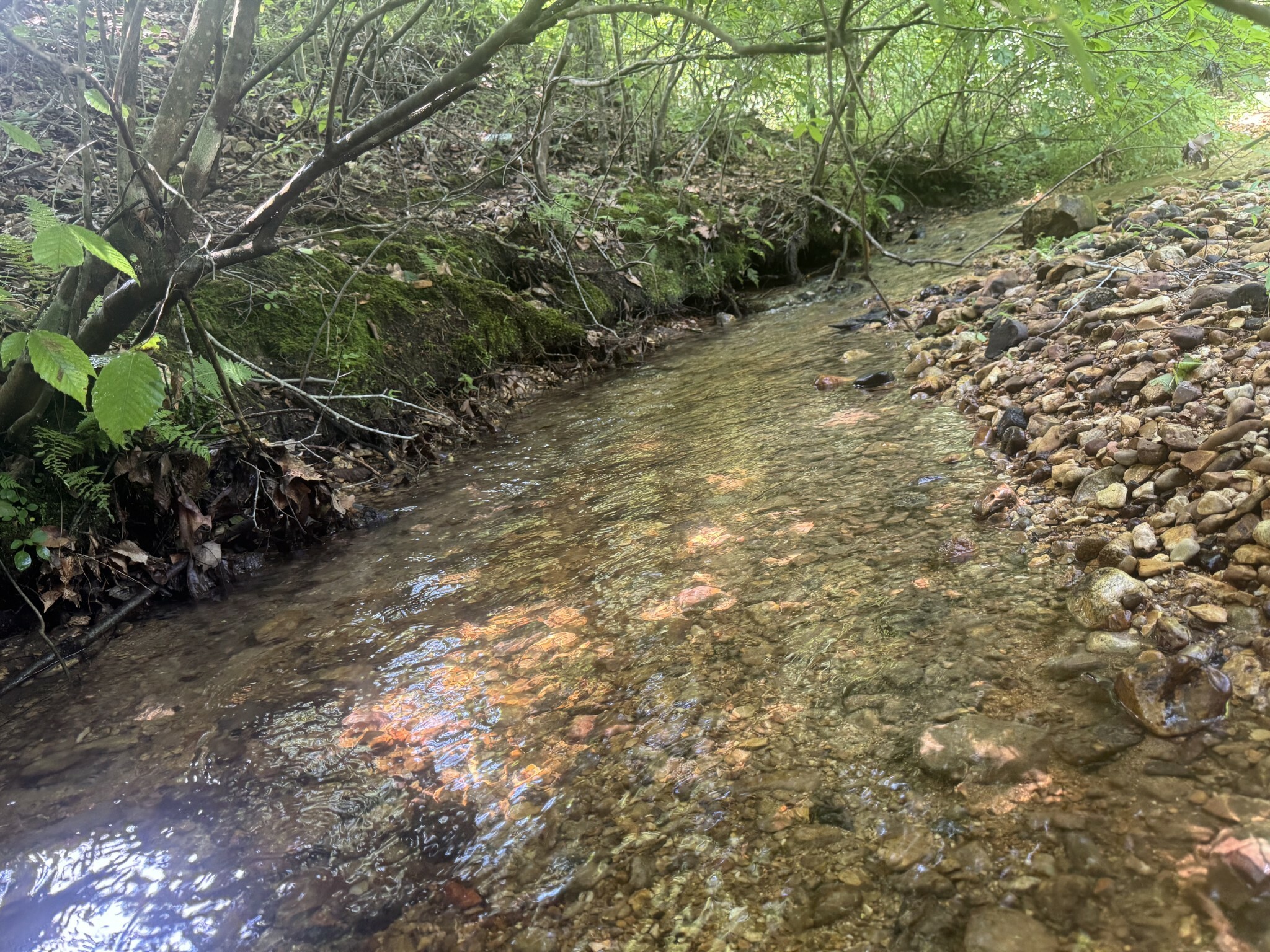 Property Photo: 1 Scott Ln TN 38463