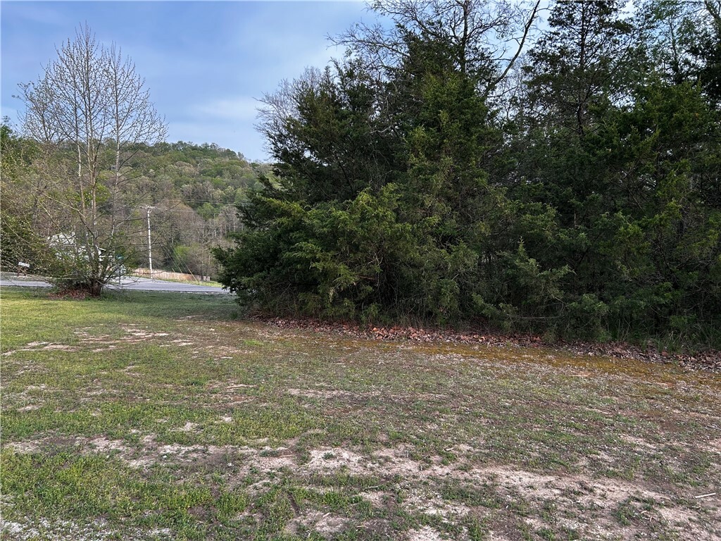 Property Photo:  Leatherwood Drive  AR 72631 