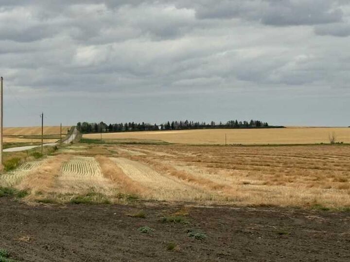 Property Photo:  Range Road 280  AB T4A 1J3 