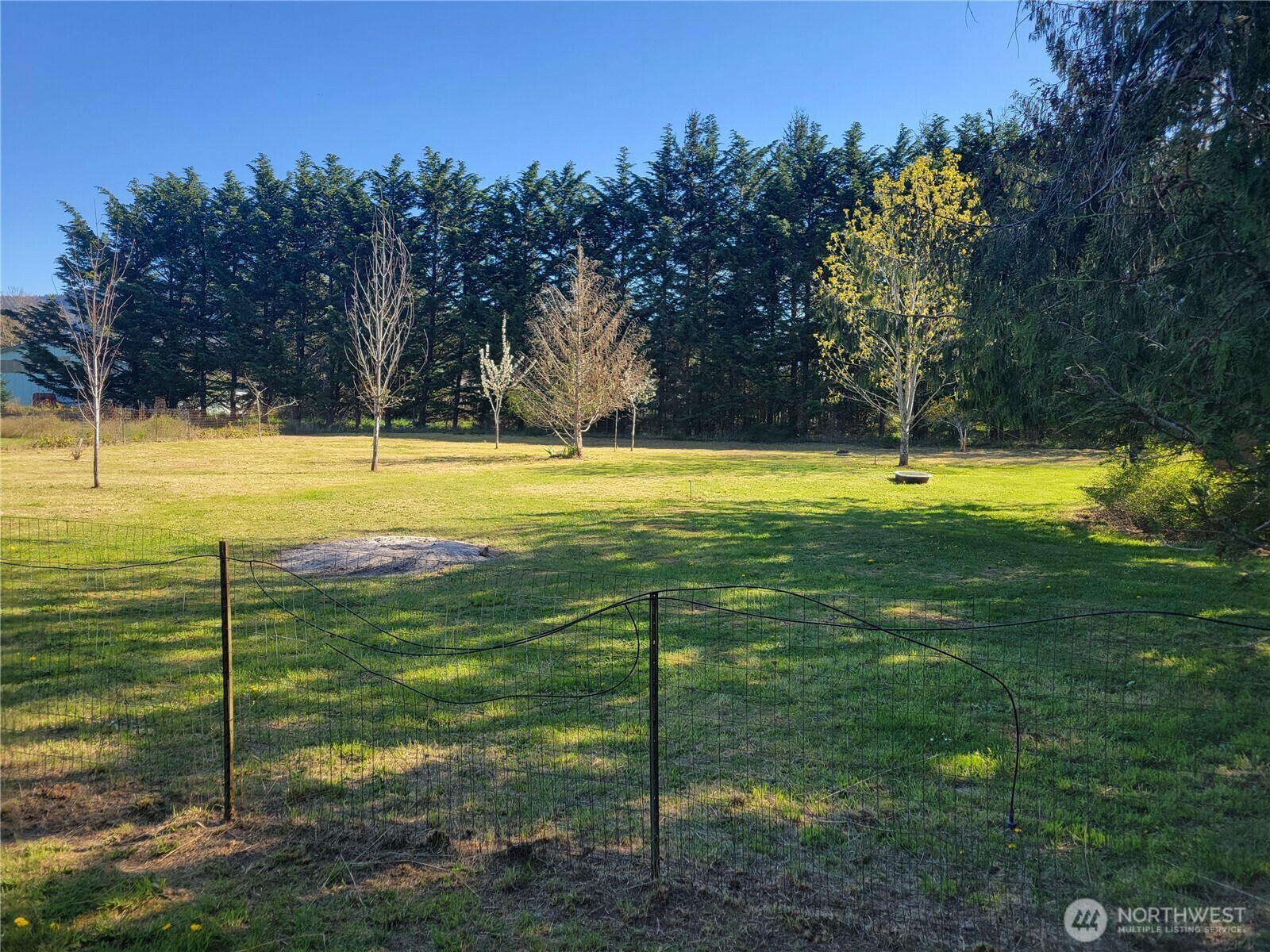 Property Photo: 223 Lorraine Drive WA 98382