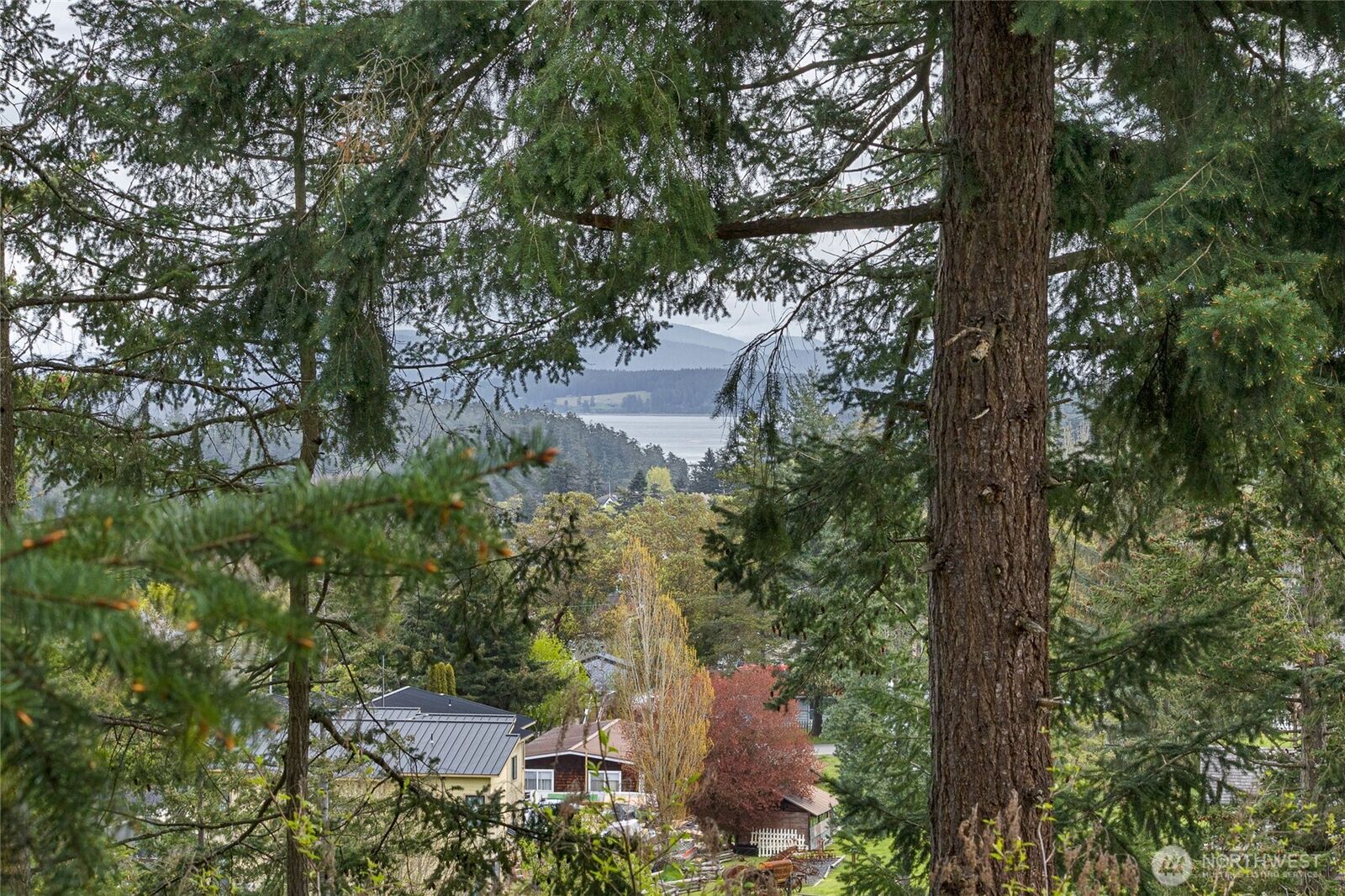 Property Photo: 365 Marguerite Place S WA 98250