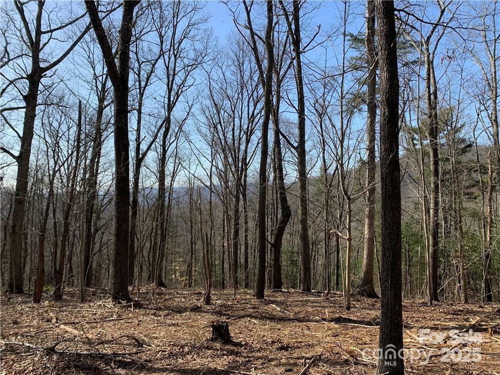 Property Photo: 228 Spivey Mountain Road 5 NC 28806