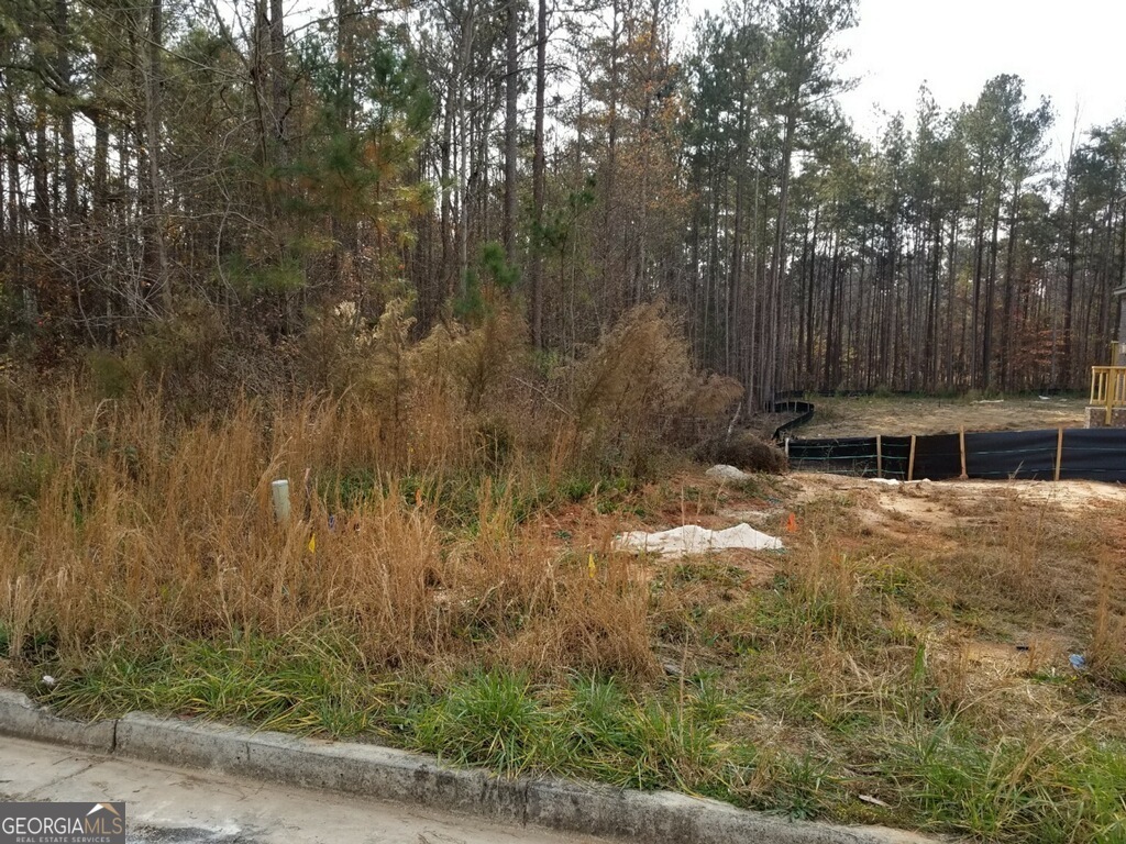 Property Photo: 250 Water Brook Drive GA 30054