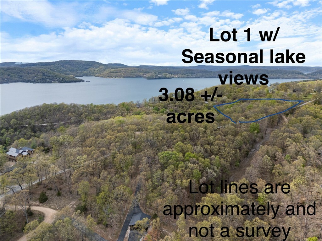 Tbd 1 Cobbleston Lane  Eureka Springs AR 72631 photo