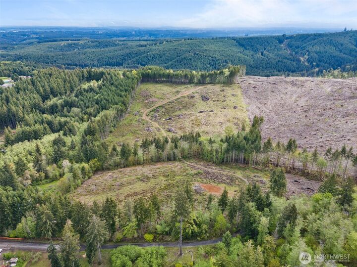 0  Cousins Rd  Adna WA 98522 photo