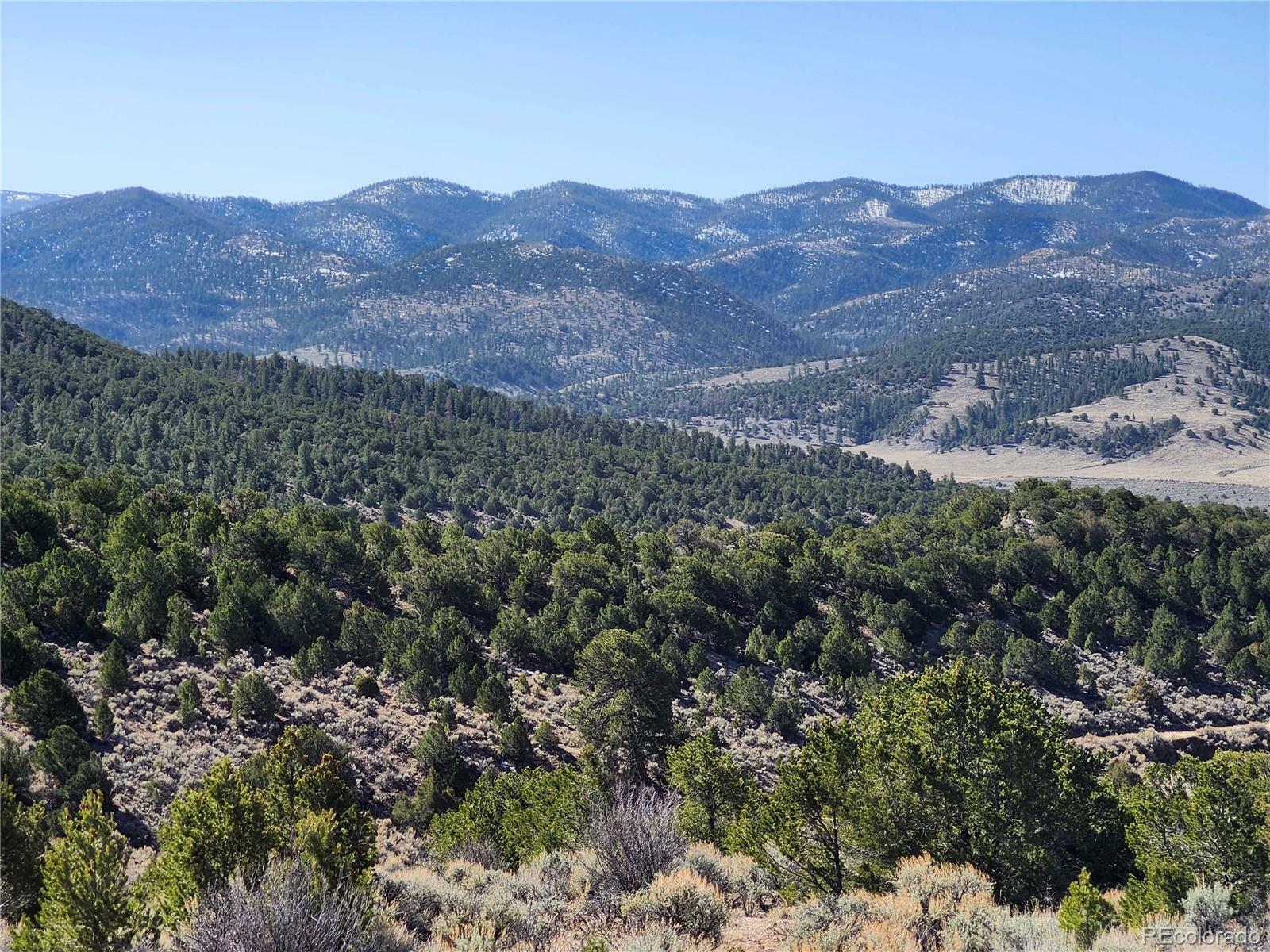 Property Photo: Rodriguez CO 81133