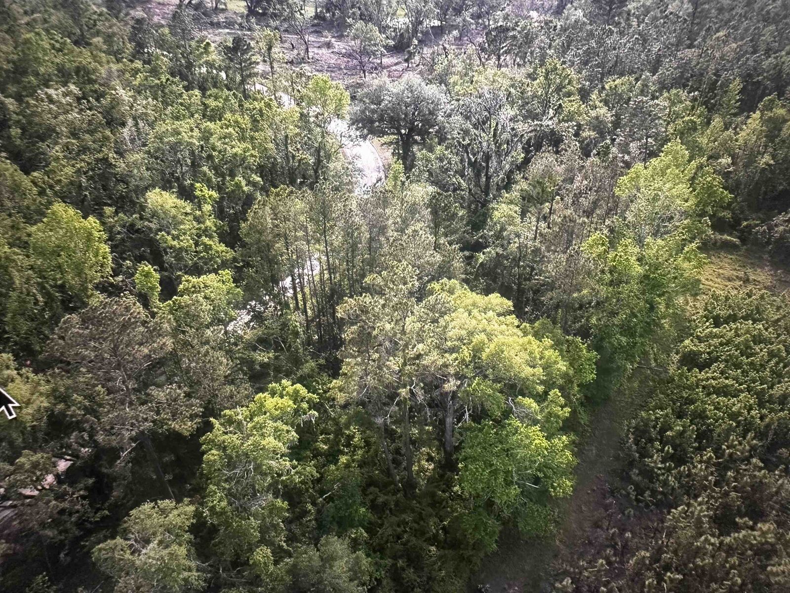 Property Photo:  00 NE Nixon Way  FL 32340 