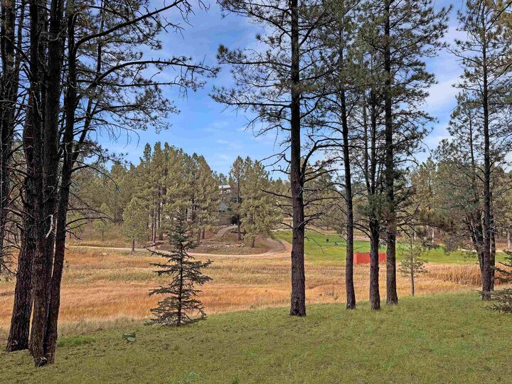 Property Photo:  Lot 1133 Spyglass Hill Rd  NM 87710 