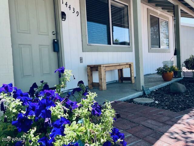 Property Photo:  14439 N 38th Place  AZ 85032 