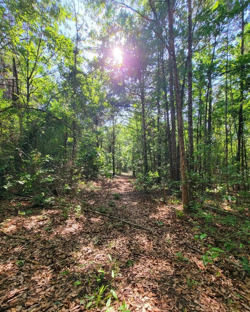 Property Photo:  3994 County Road 774  TX 75943 