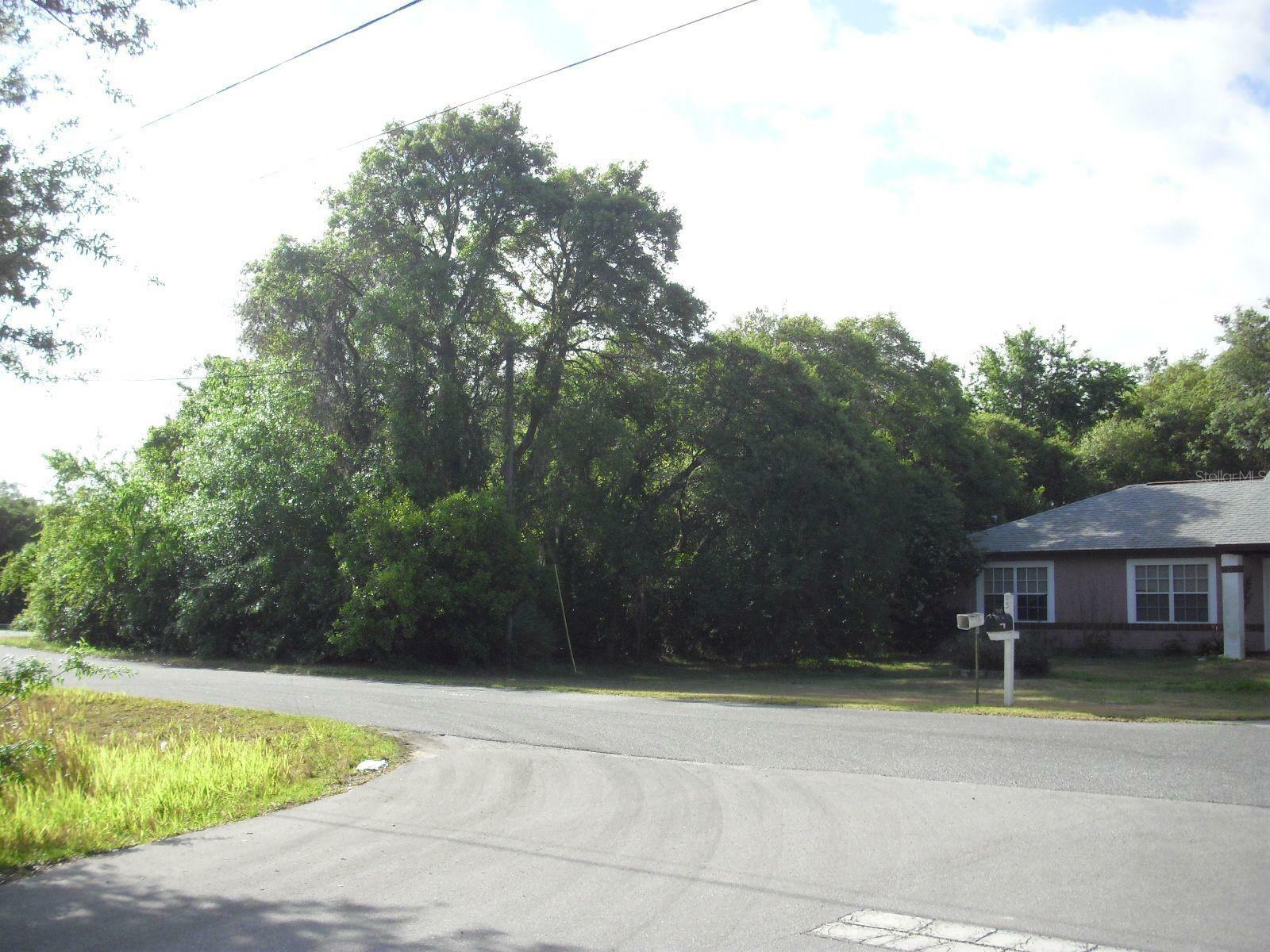 Lot 8 Olive Drive  Ocala FL 34472 photo