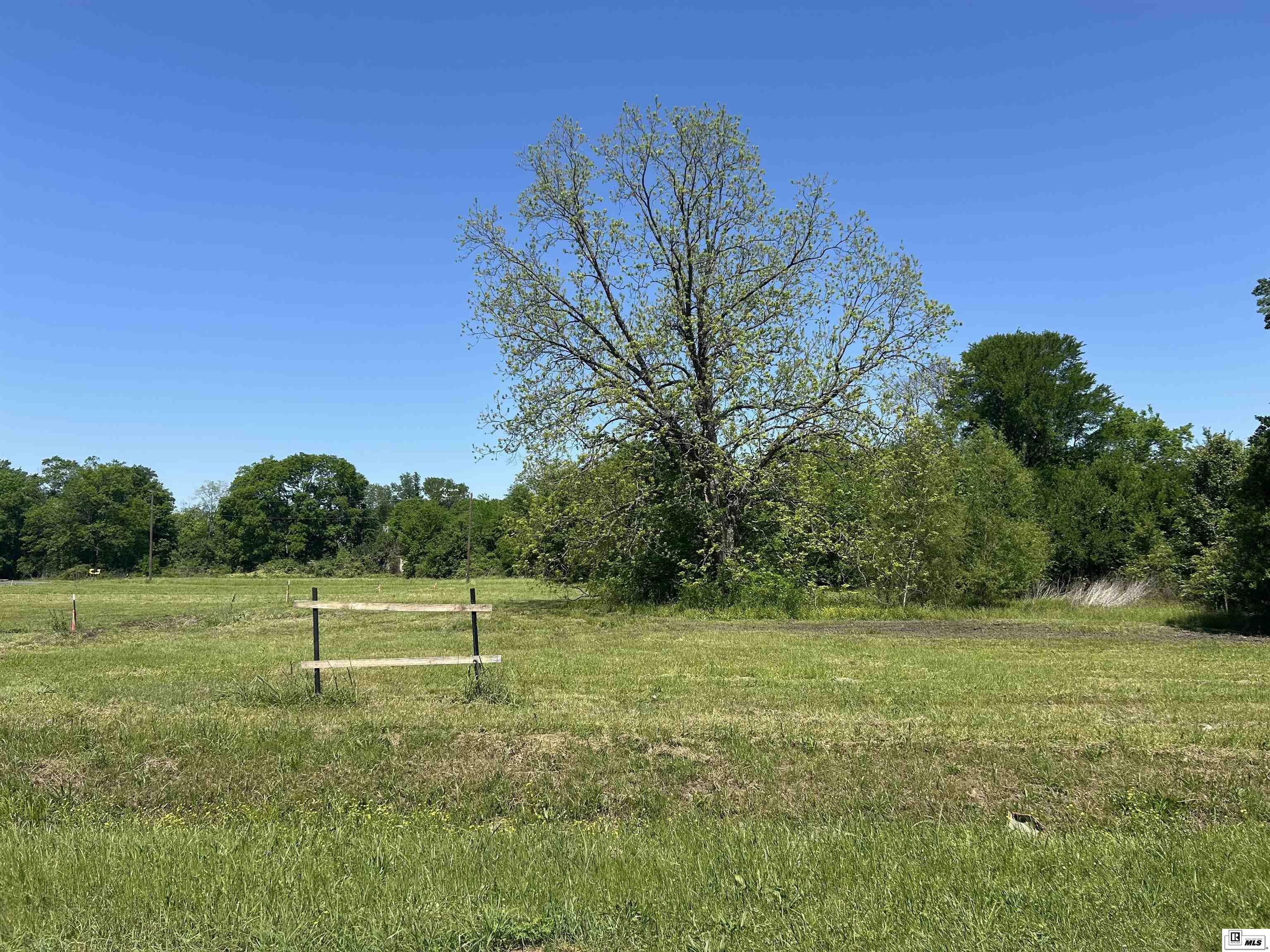 Property Photo:  203 S 12th  Street  LA 71201 