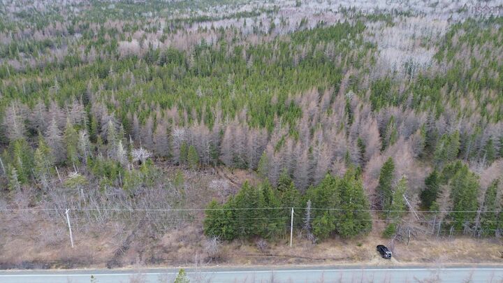 Lot 395 Highway — photo 1