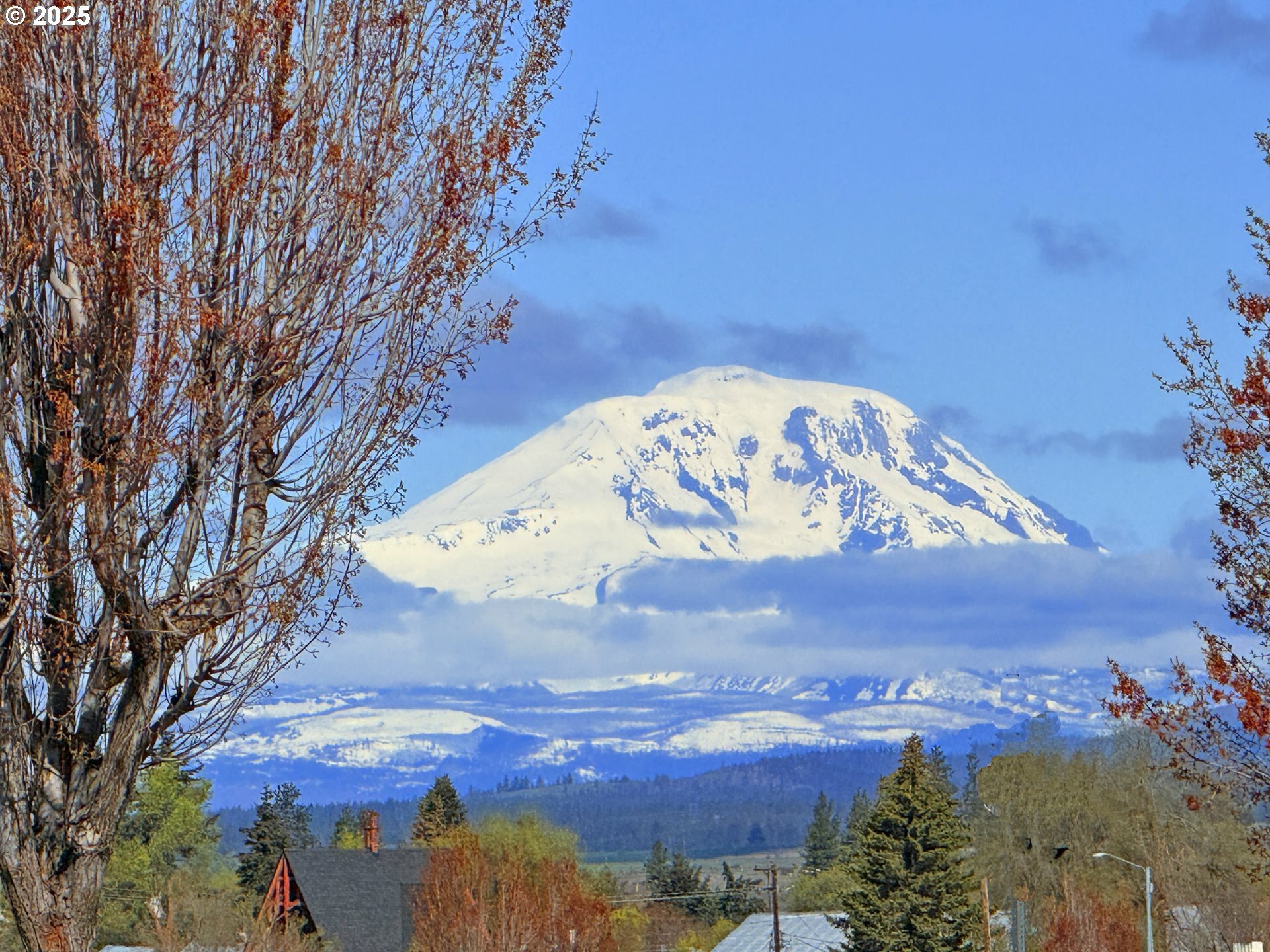 Property Photo: 336 12th Street Ct WA 98620