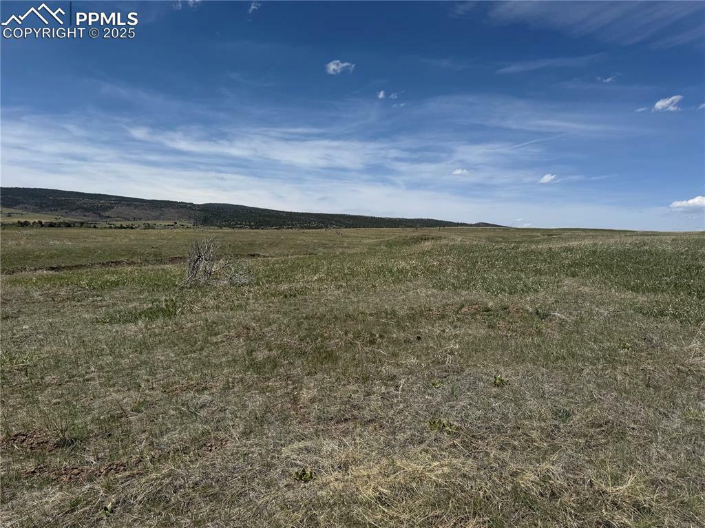 Property Photo: Good Pasture Drive CO 81023