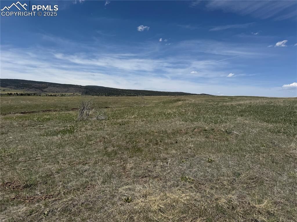 Property Photo: Good Pasture Drive CO 81023