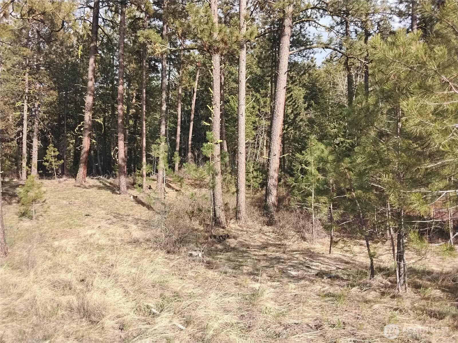 Property Photo: 447 Roundabout Road WA 98855