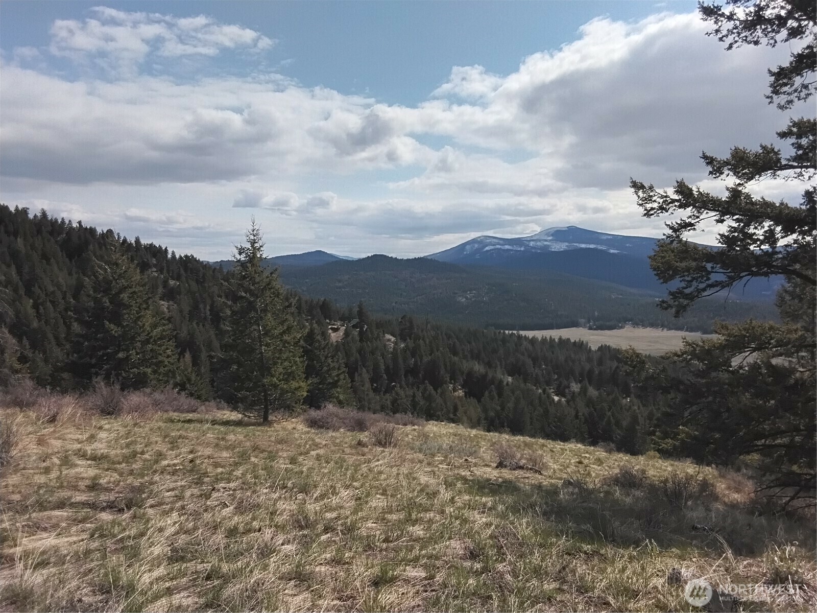 Property Photo: 26 Mule Deer Ridge Road WA 98844