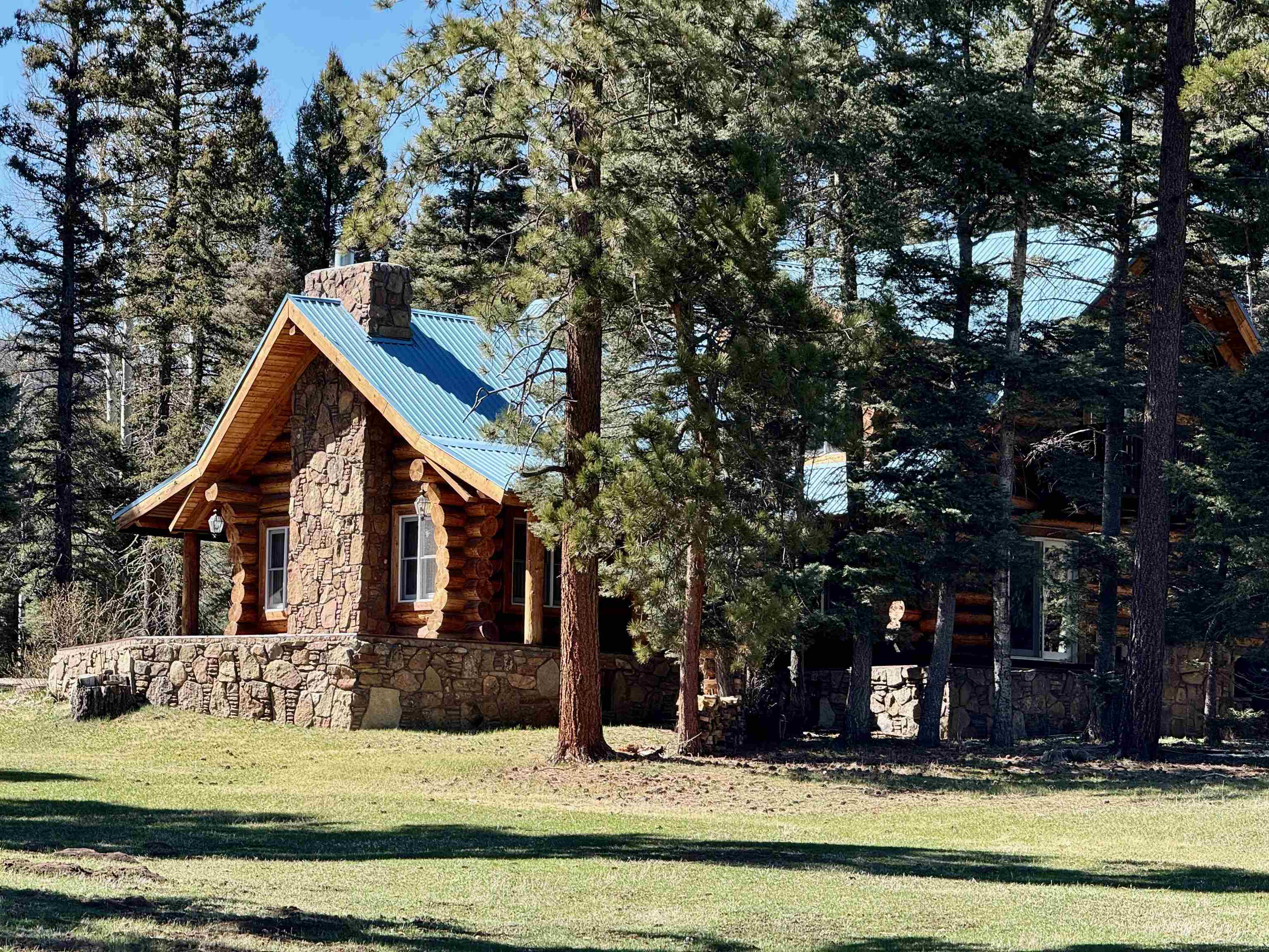 Property Photo: 53 Forest Road 76 NM 87710