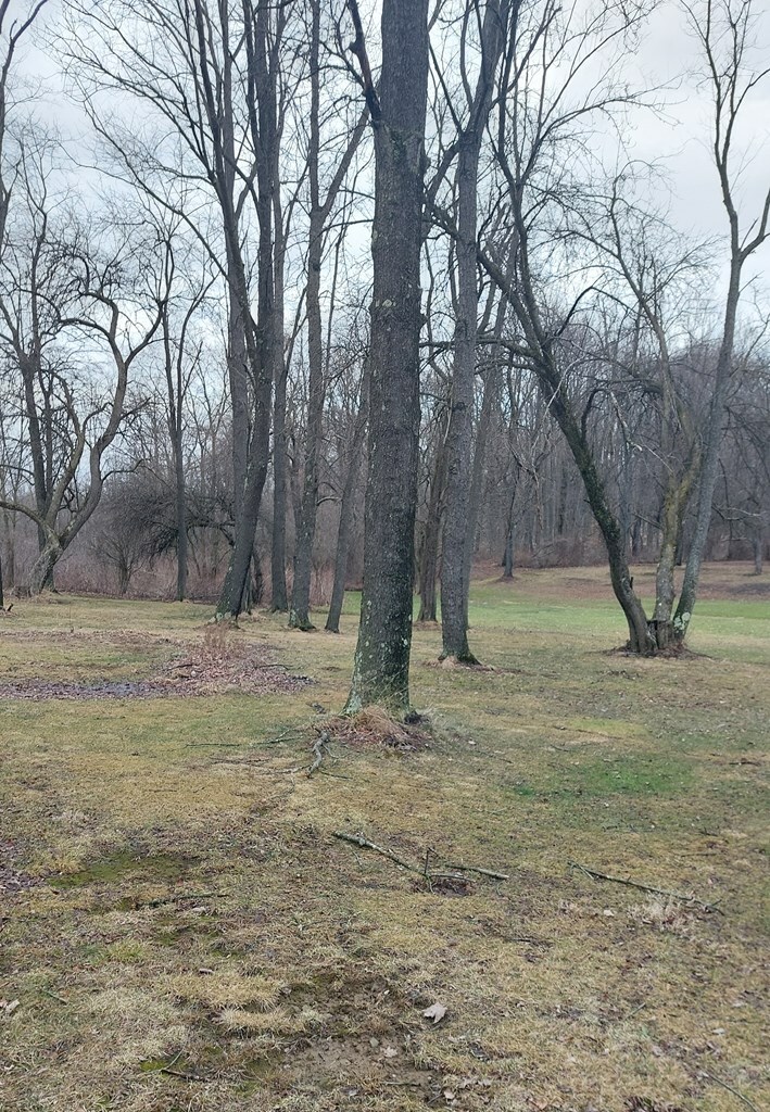 Property Photo:  549 Kinsman Rd  PA 16134 