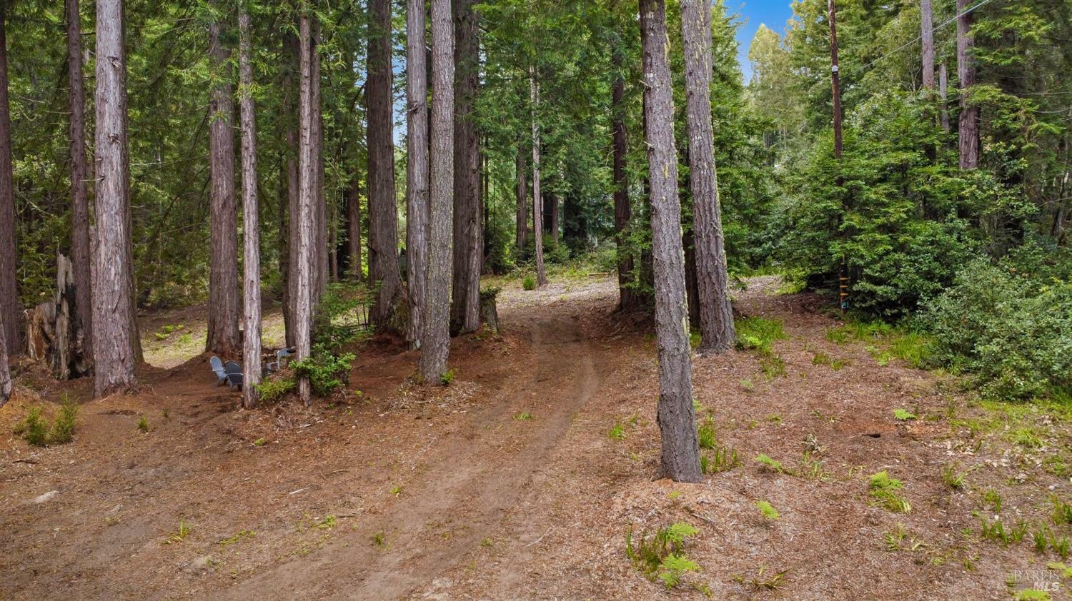 22039 Timber Cove Road  Jenner CA 95450 photo