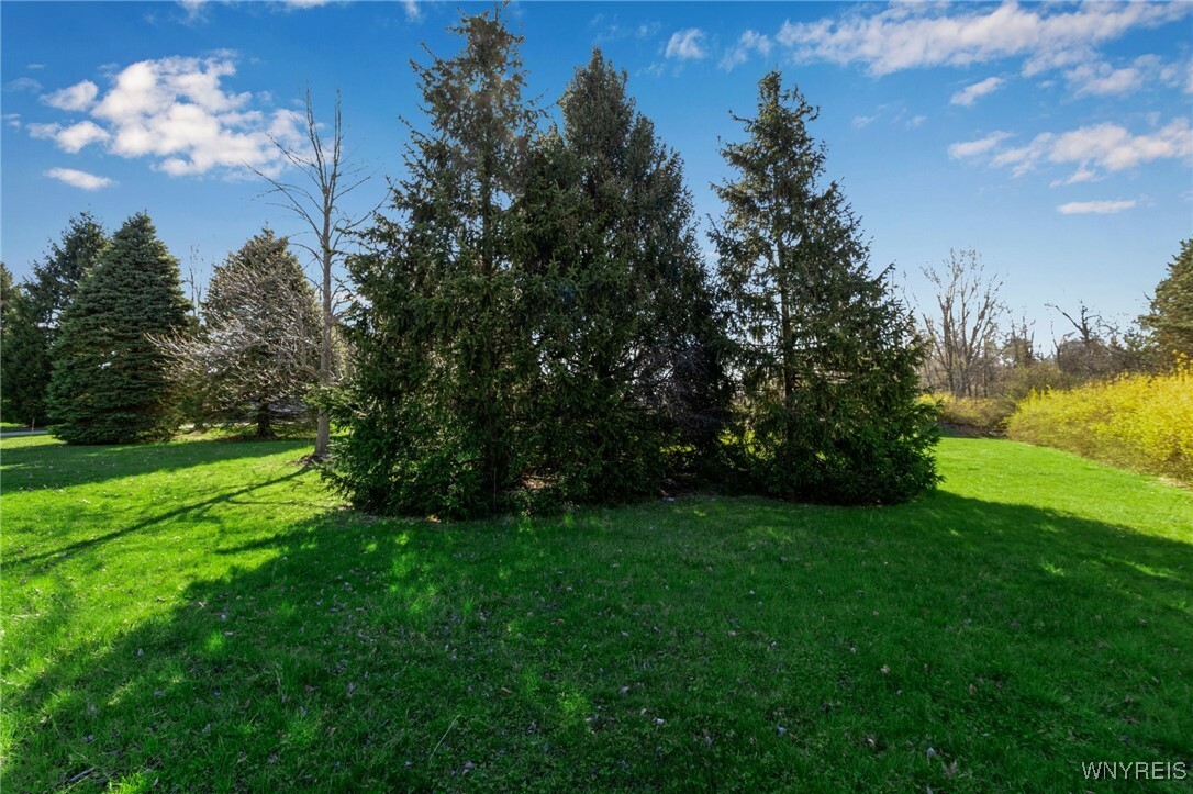 Property Photo: 9545 Turnstone Drive NY 14031