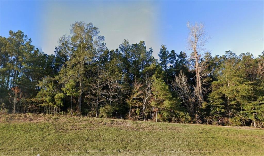 Property Photo:  Tbd - Lot 6 28 West Highway  LA 71409 