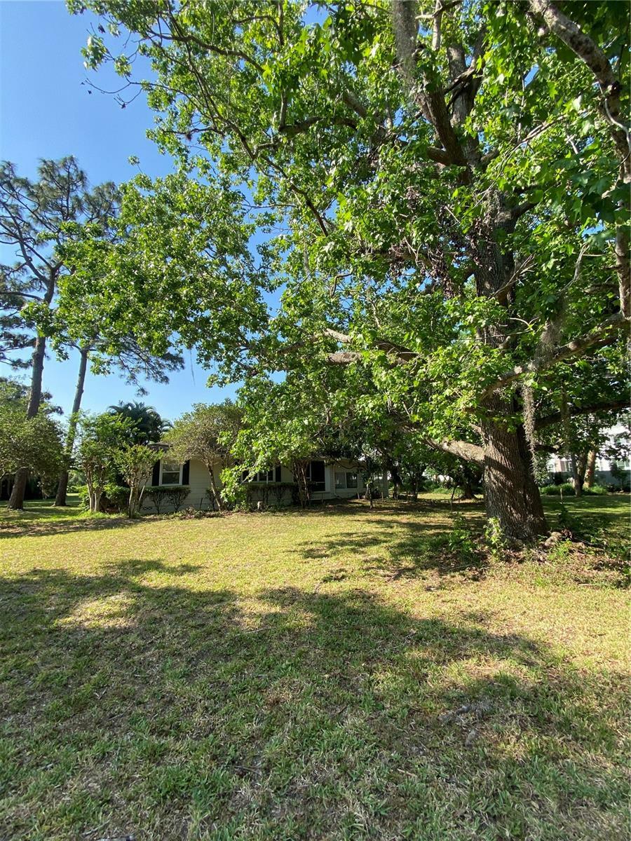 Property Photo: 5500 Lake Lizzie Drive FL 34771