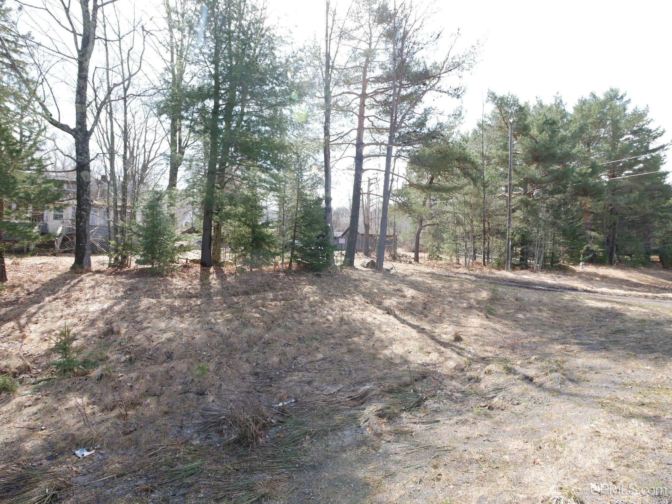Property Photo: 16234 Skanee Road MI 49946