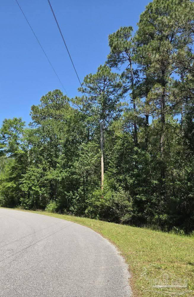 Property Photo:  00 Pandora Dr  FL 32583 